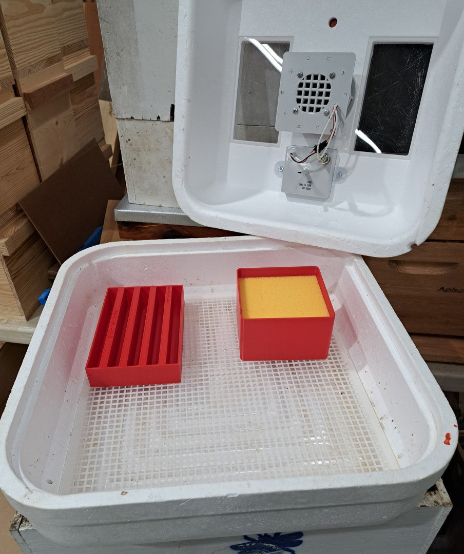 Sponge Tray