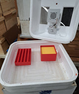 Sponge Tray