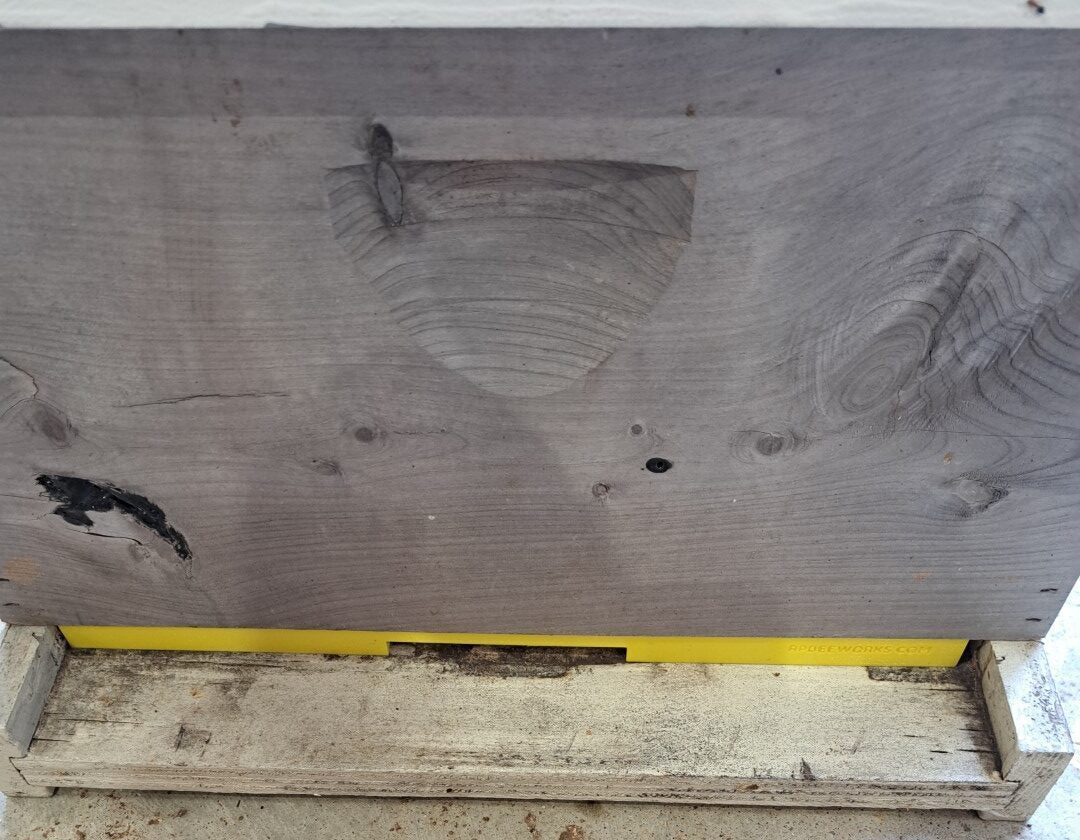 One Piece Entrance Reducer