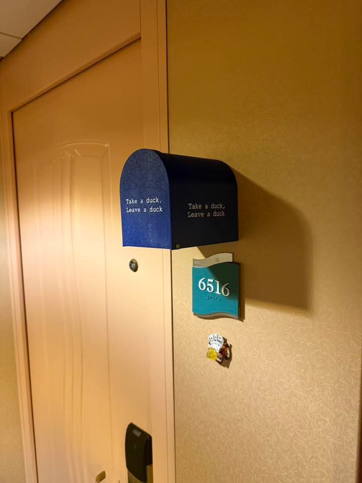 Cruise Ship Duck Box - Magnetic