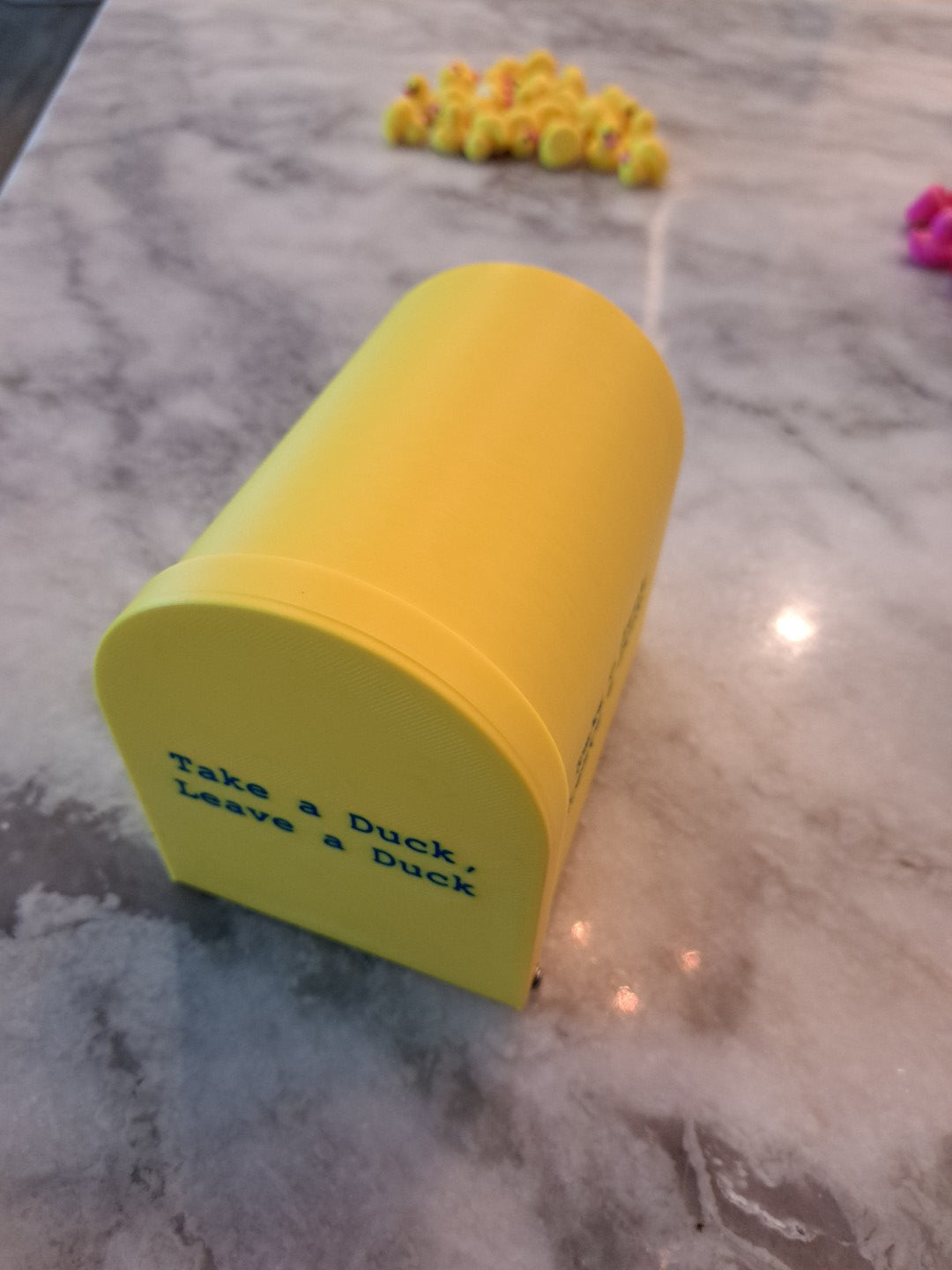 Cruise Ship Duck Box - Magnetic
