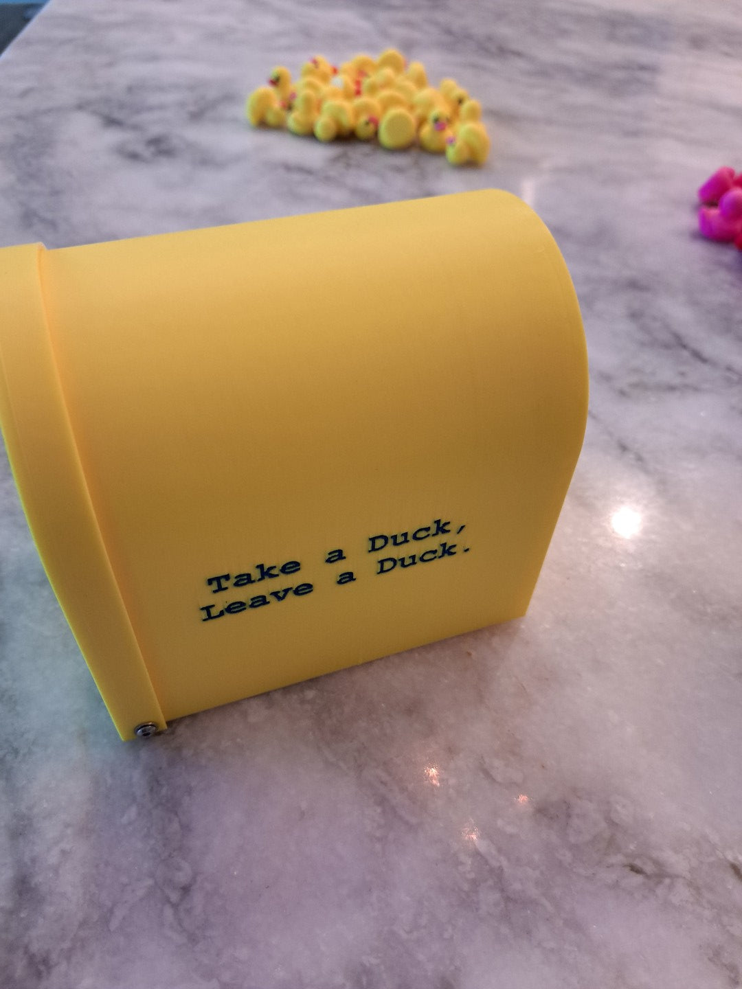 Cruise Ship Duck Box - Magnetic