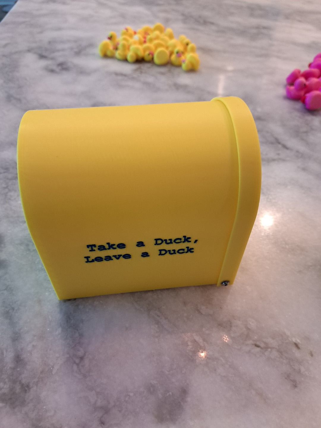 Cruise Ship Duck Box - Magnetic