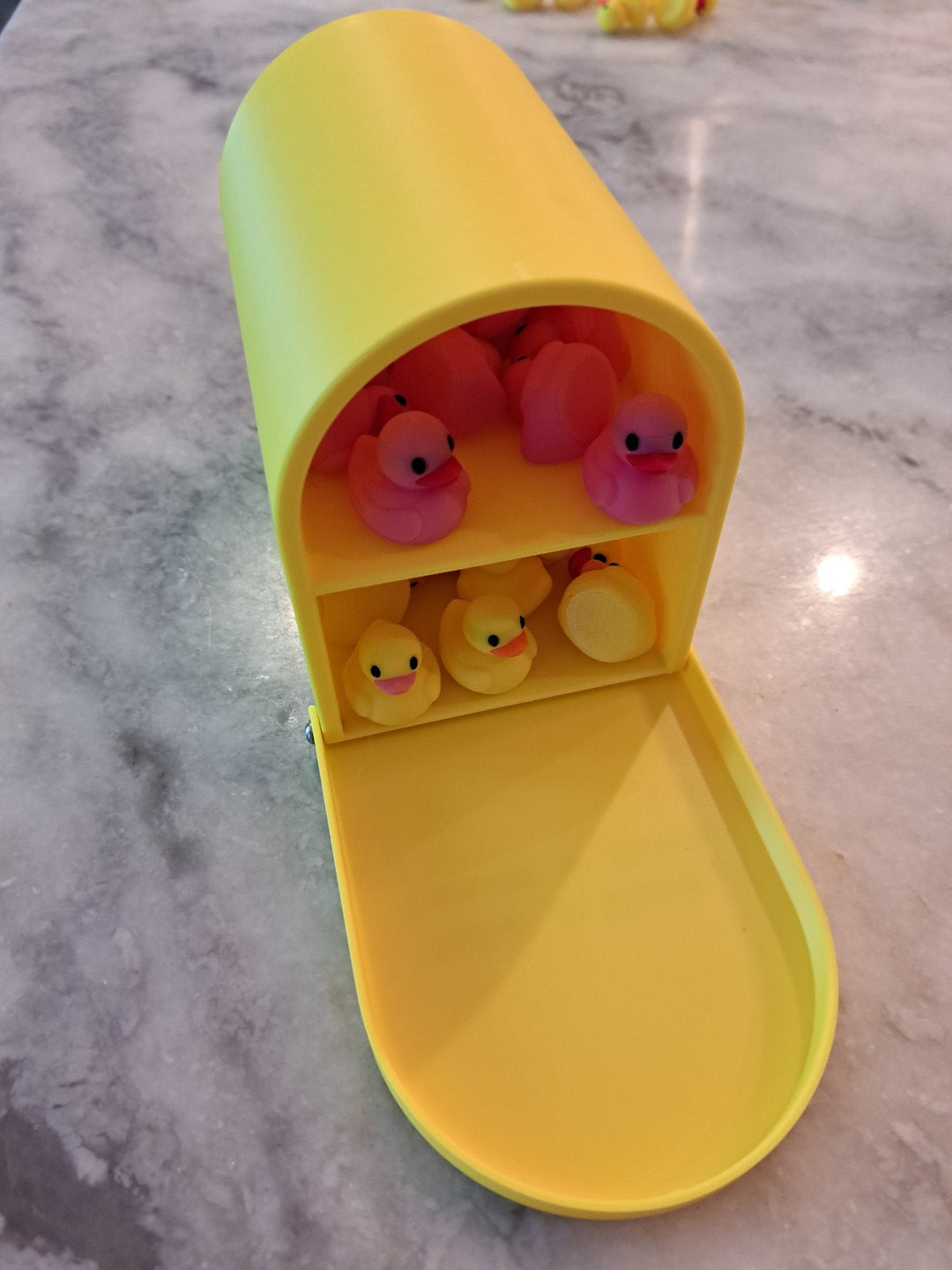 Cruise Ship Duck Box - Magnetic