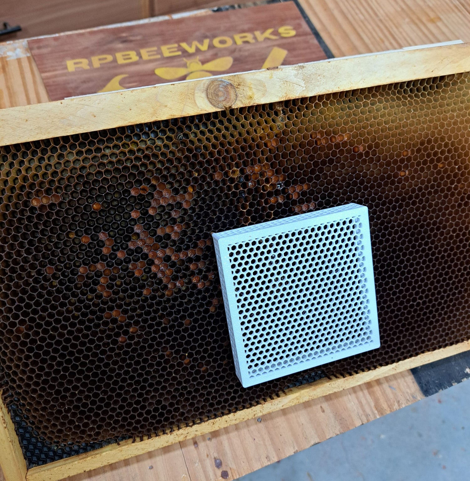 Queen Isolation Cage