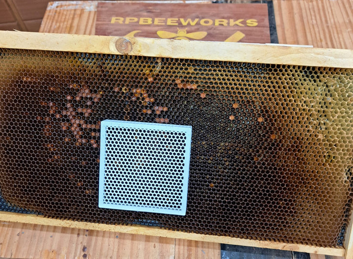 Queen Isolation Cage