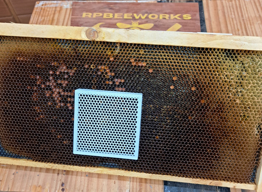Queen Isolation Cage