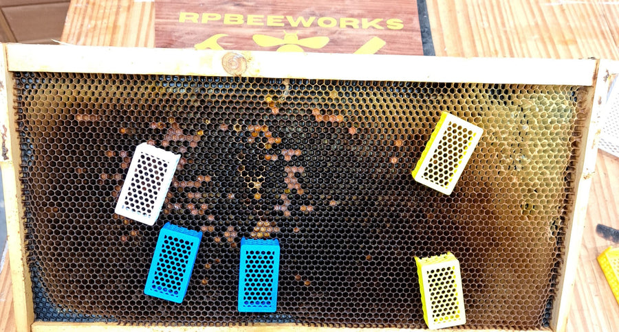 Queen Cell Cage