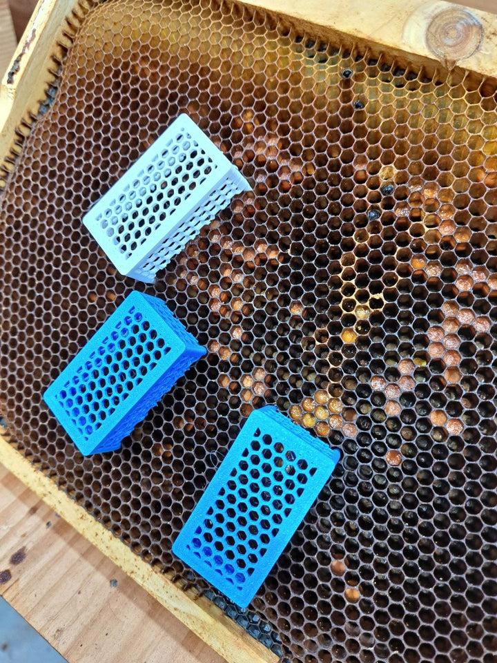 Queen Cell Cage
