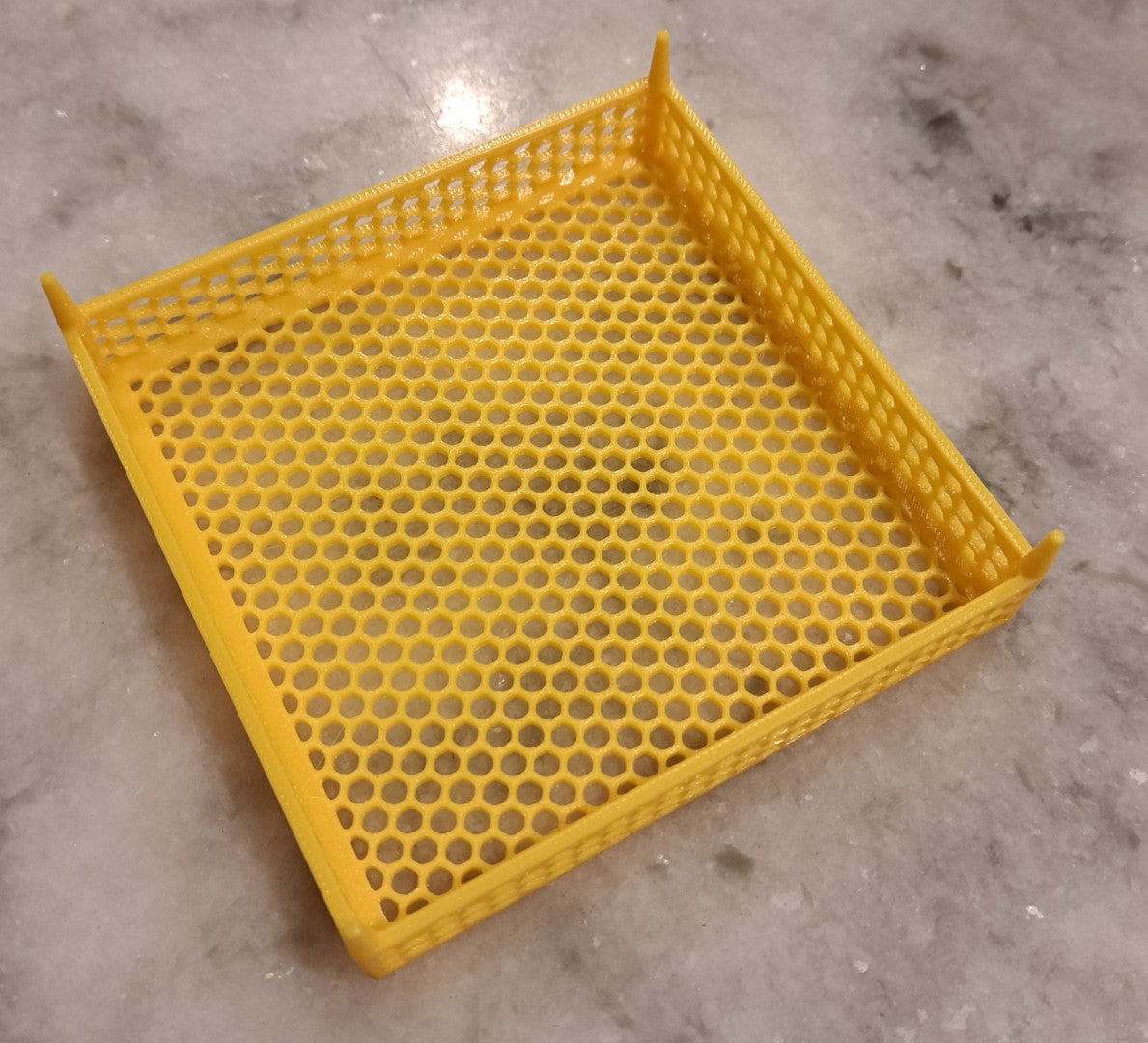 Queen Isolation Cage