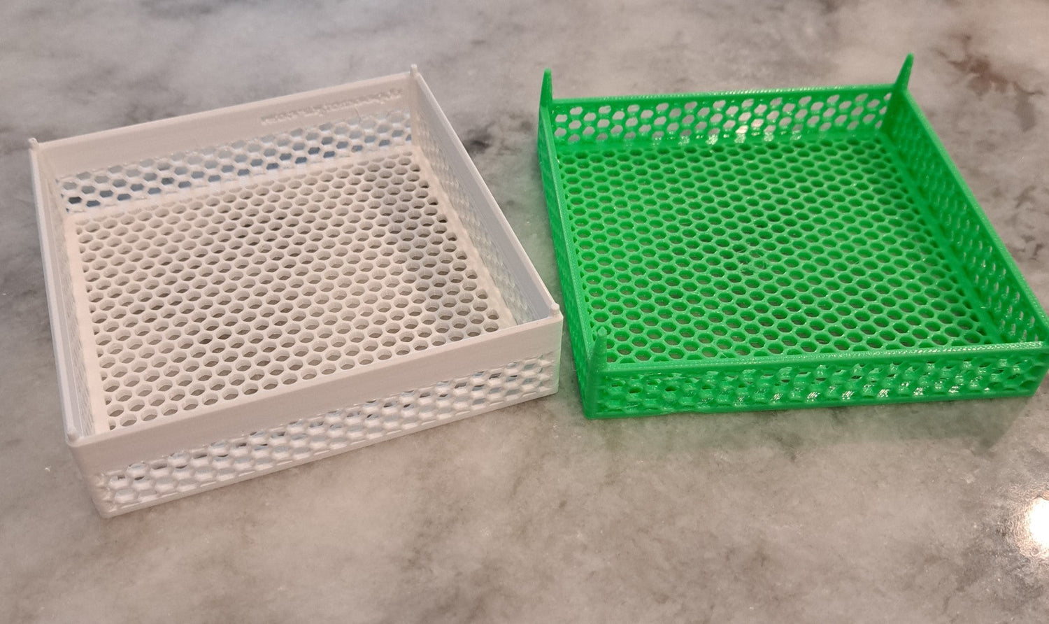 Queen Isolation Cage