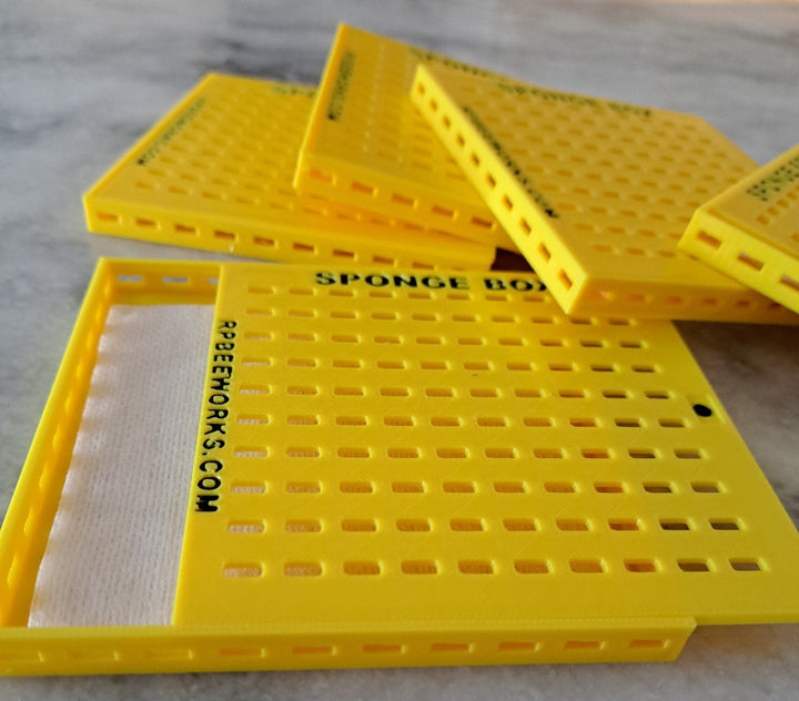 Sponge Box Beetle Traps-Slotted