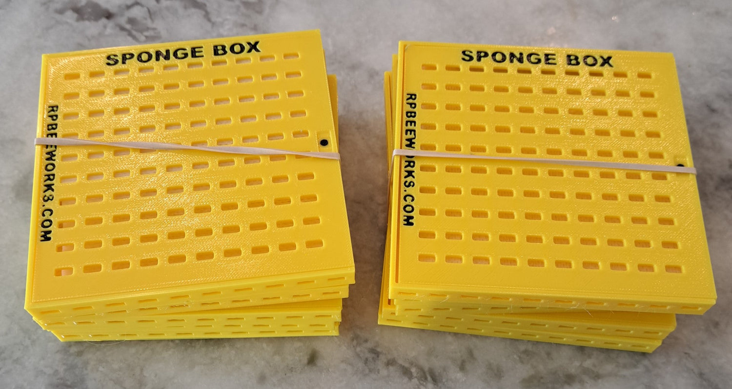 Sponge Box Beetle Traps-Slotted