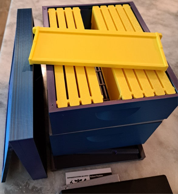 10 Inch Training Hive