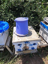 Large Pollen Feeder