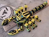 Cyber Scorpion
