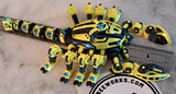 Cyber Scorpion