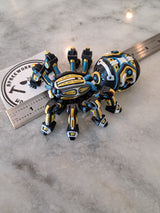 Cyber Spider