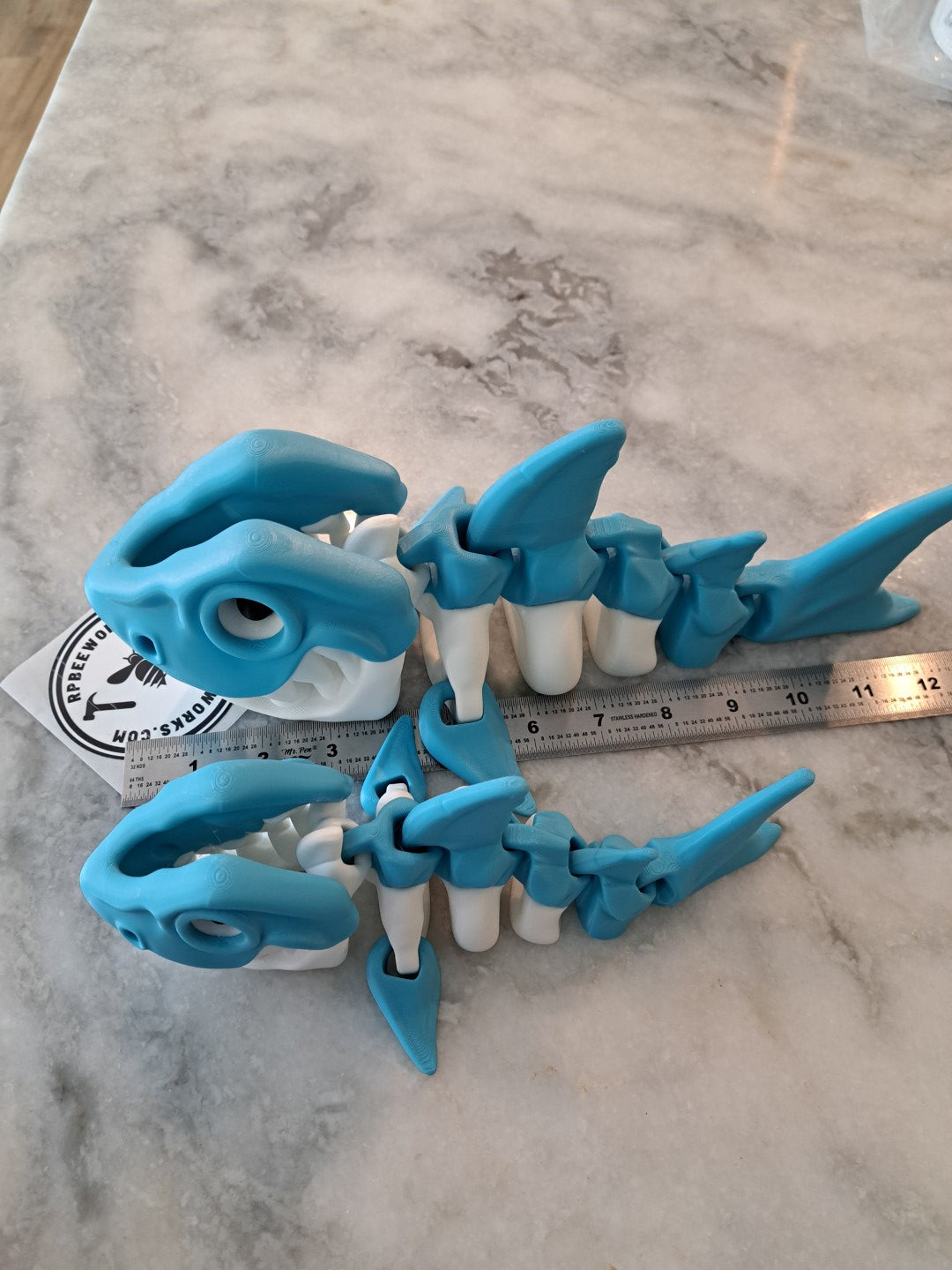 Skeleton Shark