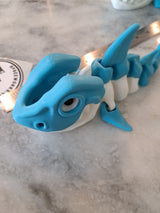 Skeleton Shark