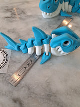 Skeleton Shark