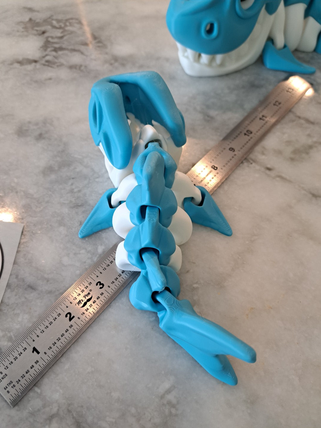 Skeleton Shark
