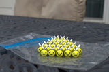 Little Box of Bees