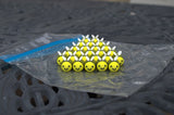Little Box of Bees
