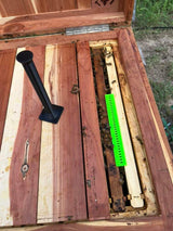 Beetle Trap