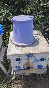 Large Pollen Feeder