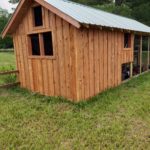 Back side of the chicken shed