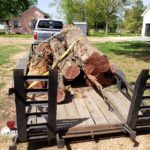 Cedar logs headed to the sawmill