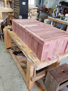 Read more about the article Cedar Hive Build