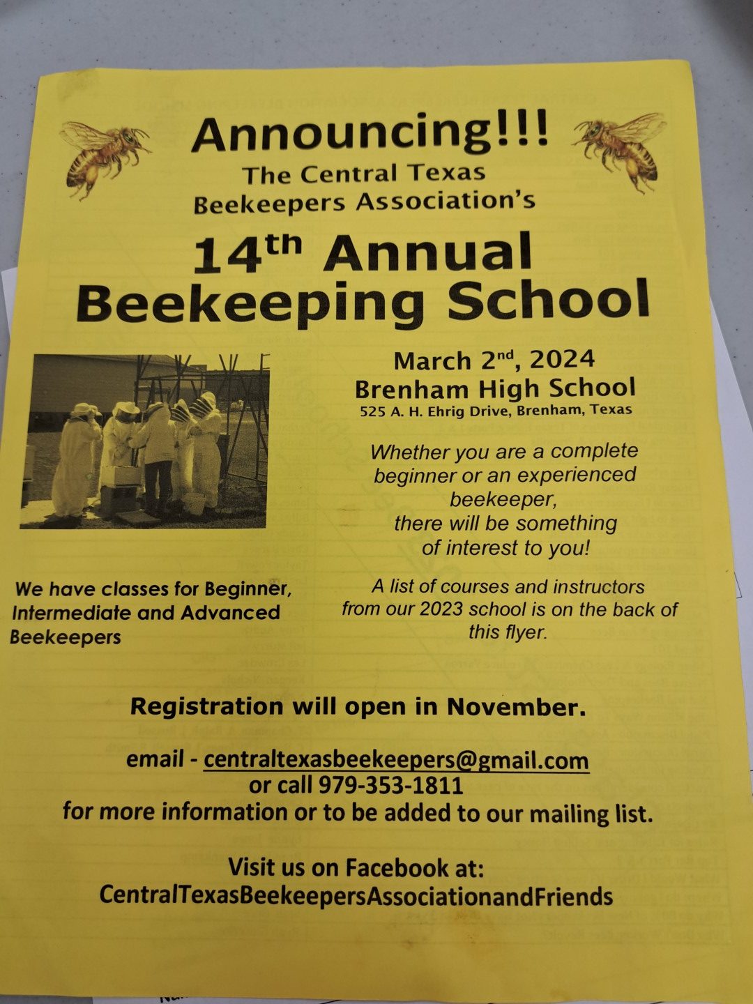 Read more about the article Bee School 2024